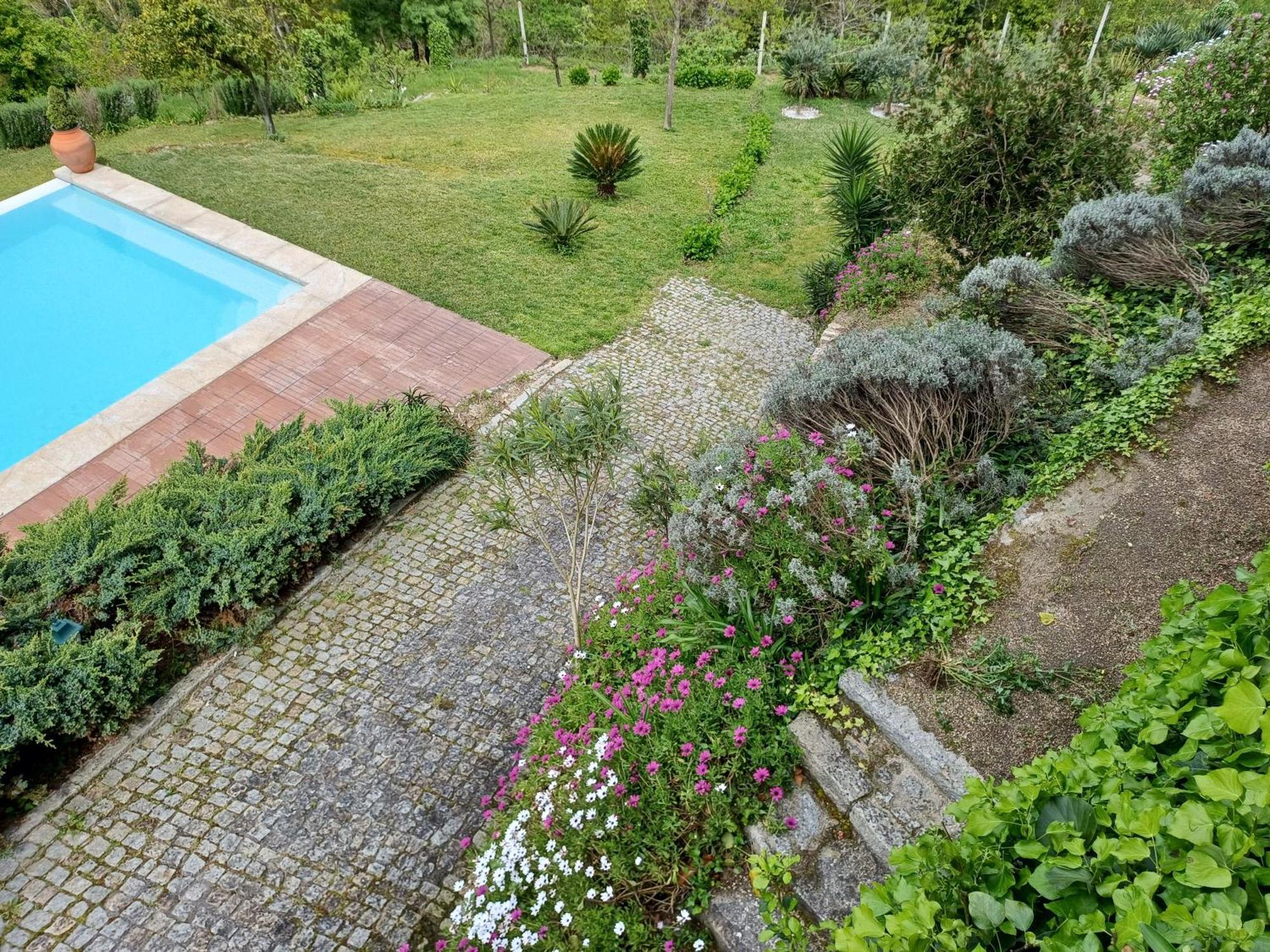 Villa "Bouca Drigues" Casa Antiga De Pedra Com Piscina E Vista Rio Amarante Exterior foto